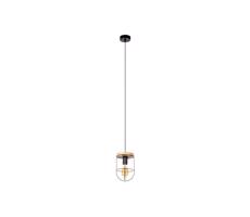 184159104 - Luster na lanku NETUNO 1xE27/60W/230V dub