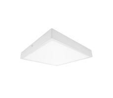 61003665 - LED Kúpeľňové stropné svietidlo EGON LED/30W/230V IP44 3000K