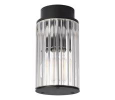 Argon Argon 8773 - Vonkajšie stropné svietidlo NORFOLK 1xE27/15W/230V IP44 čierna