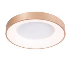 Azzardo Azzardo -LED Stmievateľné stropné svietidlo SANTANA LED/50W/230V zlatá + DO