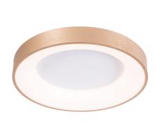 Azzardo Azzardo - LED Stmievateľné stropné svietidlo SANTANA LED/80W/230V zlatá +DO