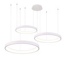 Azzardo Azzardo  - LED Stmievateľný luster na lanku AGNES LED/120W/230V biela