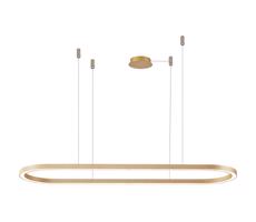 Azzardo Azzardo - LED Stmievateľný luster na lanku ELENA LED/60W/230V 150 cm zlatá