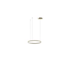 Azzardo Azzardo -LED Stmievateľný luster na lanku HALO LED/46W/230V pr. 60 cm zlatá