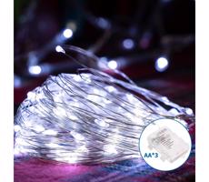 B.V. - LED Vonkajšia vianočná reťaz 100xLED/8 funkcií 10,3m IP44 studená biela