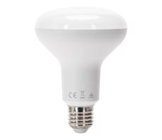 B.V. LED Žiarovka R90 E27/15W/230V 6500K -