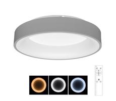Brilagi Brilagi - LED Stmievateľné stropné svietidlo LED/40W/230V 3000-6500K šedá + DO