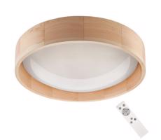 Brilagi Brilagi - LED Stmievateľné stropné svietidlo MANAROLA LED/24W/230V + DO