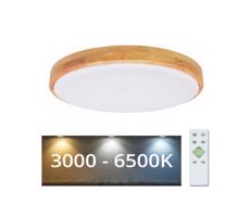 Brilagi Brilagi - LED Stmievateľné stropné svietidlo PINE LED/24W/230V + diaľkové ovládanie