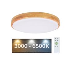 Brilagi Brilagi - LED Stmievateľné stropné svietidlo PINE LED/60W/230V + diaľkové ovládanie