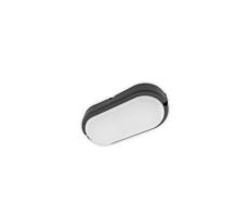 Brilagi Brilagi - LED Stropné priemyselné svietidlo SIMA LED/12W/230V IP65 čierna
