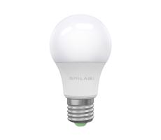 Brilagi LED Žiarovka ECOLINE A60 E27/15W/230V 6500K - Brilagi