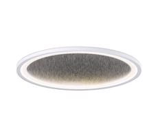 Brilliant Brilliant - LED Stmievateľné stropné svietidlo TANIDA LED/31W/230V 3000-6500K + DO