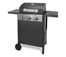 Fieldmann FZG 3003