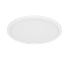 Globo Globo 41562-24W - LED Kúpeľňové stropné svietidlo SAPANA LED/24W/230V IP44