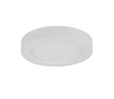 Globo GLOBO 41605-18 - LED Kúpeľňové stropné svietidlo PAULA 1xLED/18W/230V IP44