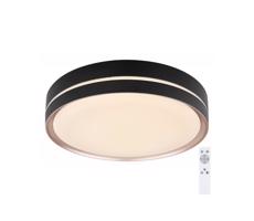 Globo Globo 41759-24 - LED Stmievateľné stropné svietidlo MANNI LED/24W/230V + DO