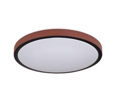 Globo Globo 41766-12 - LED Stropné svietidlo SAMMI LED/12W/230V 3000/4500/6000K
