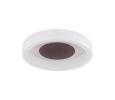Globo Globo 48398-24 - LED Stropné svietidlo GOFFI LED/30W/230V