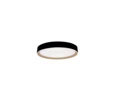 LED Stmievateľné stropné svietidlo s hlasovým ovládaním OPAL LED/48W/230V + DO