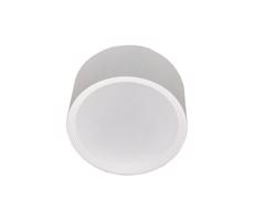 LED Stropné svietidlo PERCI LED/20W/230V IP40 4000K biela