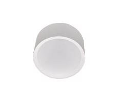 LED Stropné svietidlo PERCI LED/30W/230V IP40 2700K biela