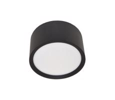 LED Stropné svietidlo PERCI LED/30W/230V IP40 4000K čierna