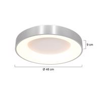 LED stropné svietidlo Ringlede 2 700 K Ø 48 cm strieborná