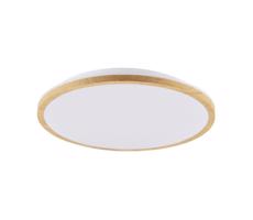 LED Stropné svietidlo WOODY LED/15W/230V pr. 28 cm