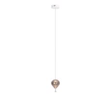 MAXLIGHT MAXLIGHT P0576 - LED Luster na lanku PALLONCINI 2xLED/3W/230V pr. 12 cm dymová