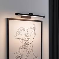 Paulmann Mingo LED svetlo na obrazy 41,5 cm čierne