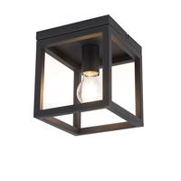 Priemyselný stropný lampa čierny oceľ - Klietka