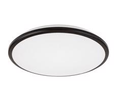 Rabalux Rabalux 71130 - LED Stropné svietidlo ENGON LED/45W/230V 3000K čierna 48 cm