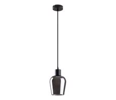 Rabalux Rabalux 72270 - Luster na lanku FLORIAN 1xE27/40W/230V