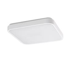 Rabalux Rabalux 77138 - LED Kúp. strop. svietidlo so senzorom LOWAR 18W/230V 4000K IP44