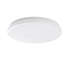 Rabalux Rabalux 77140 - LED Kúp. strop. svietidlo so senzorom LOWAR 24W/230V 4000K IP44