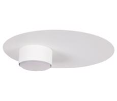 Stropné svietidlo STAR 1xGX53/12W/230V biela