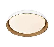 Top Light Top Light-LED Stm. stropné svietidlo SATELLITE LED/36W/230V 3000-6500K biela + DO