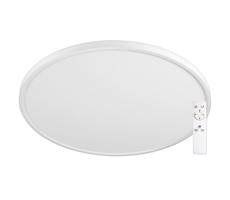 Top Light Top Light - LED Stmievateľné stropné svietidlo LED/50W/230V 3000-6500K + DO
