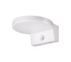 Top Light Top Light - LED Vonkajšie nástenné svietidlo so senzorom LED/15W/230V IP65 biela
