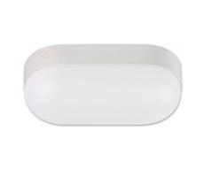 Top Light Top Light Ronda - LED Vonkajšie stropné svietidlo LED/15W/230V IP65