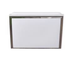 Top Light Top Light Silver HS - LED Kúpeľňové stropné svietidlo LED/10W/230V IP44