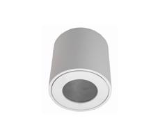Vonkajšie stropné svietidlo FARA 1xGU10/50W/230V IP54 biela