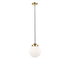 Zuma Line Zuma Line P0454-01D-F7AA - Luster na lanku RIANO 1xE27/40W/230V