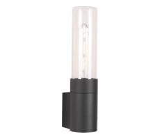 Zuma Line Zuma Line SJ17611 - Vonkajšia nástenná lampa WALLY 1xE27/60W/230V IP54 čierna